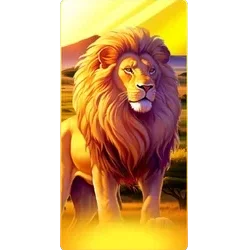 Lion
Safari